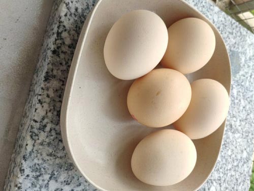鸡蛋与什么食物相克不能吃 不能与鸡蛋一起吃的6种食物